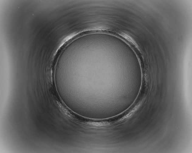 X0000086730781200704271630