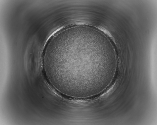 X0000086730782200704271630