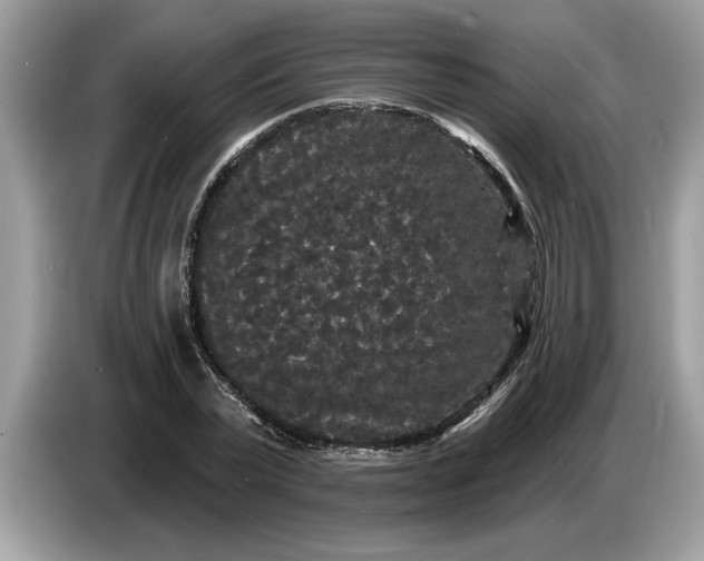 X0000086730783200704271629