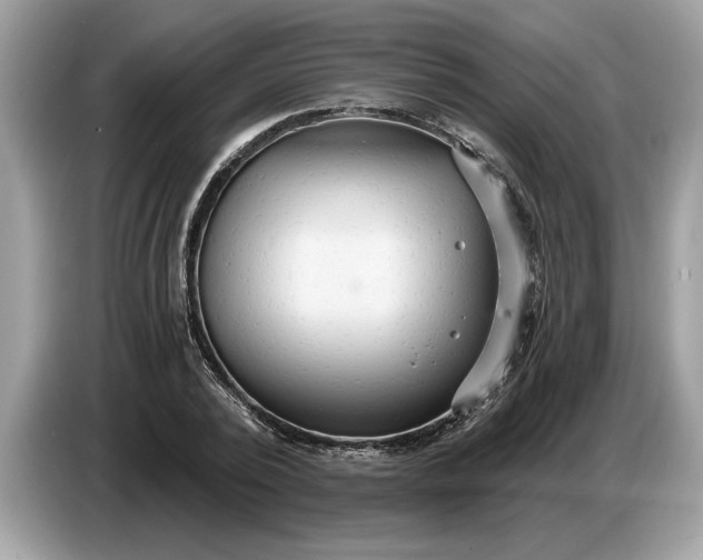 X0000086730784200704271629