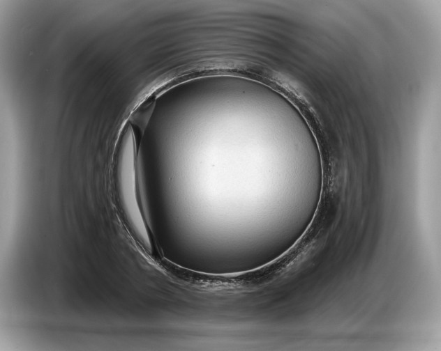 X0000086730786200704271629