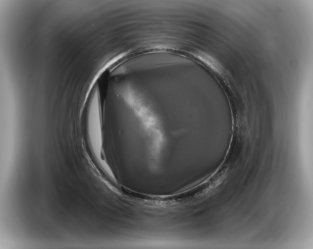 X0000086730790200704271629