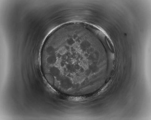 X0000086730791200704271629