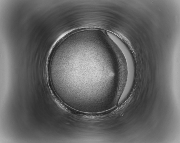 X0000086730792200704271629