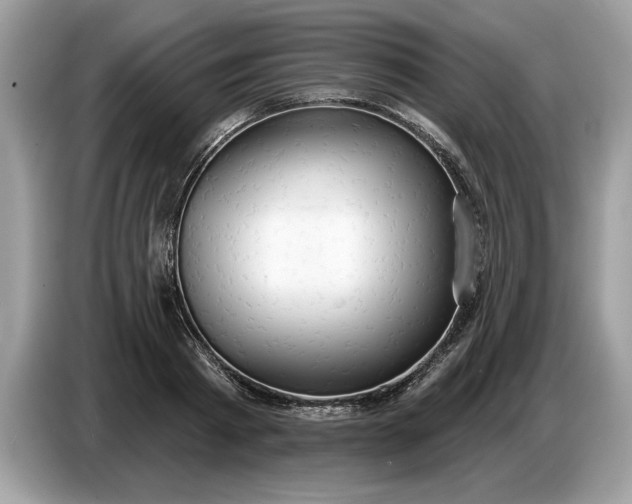 X0000086730793200704271629