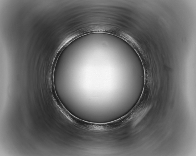 X0000086730794200704271629