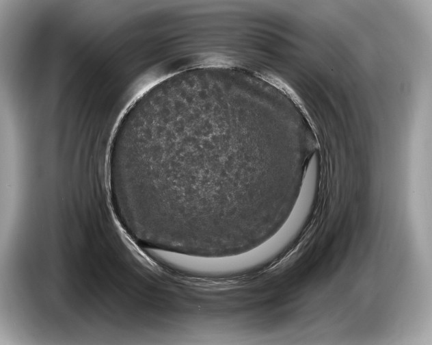 X0000086730795200704271629