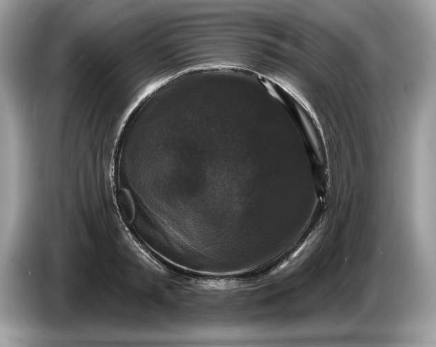 X0000086730797200704271629