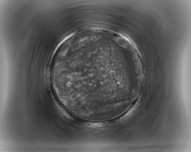 X0000086730798200704271629