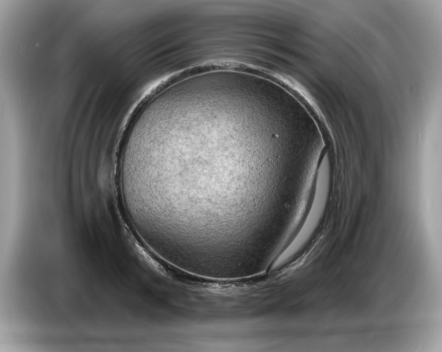 X0000086730799200704271629