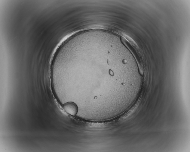 X0000086730800200704271629