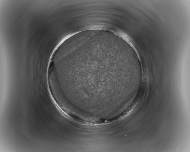 X0000086730803200704271629