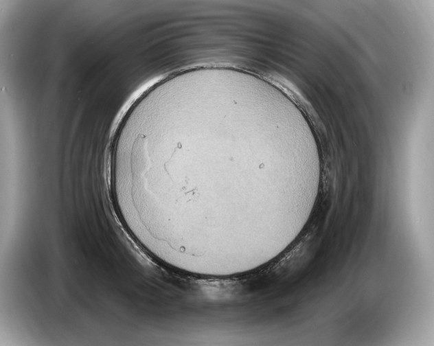 X0000086730804200704271629