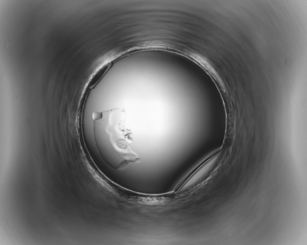 X0000086730805200704271629