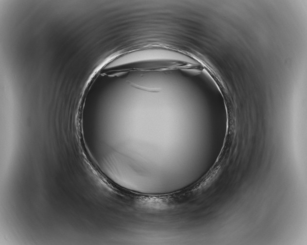 X0000086730806200704271629