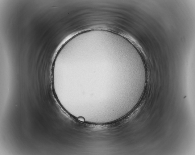 X0000086730808200704271629