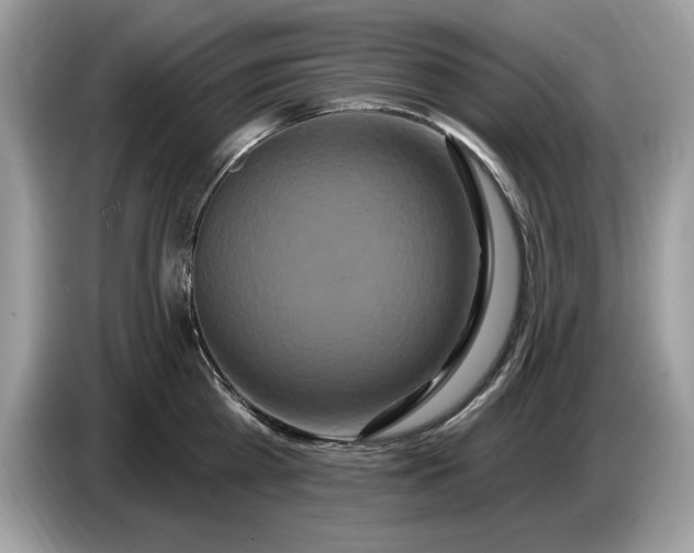 X0000086730809200704271629