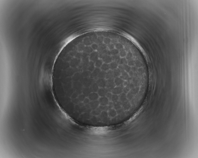 X0000086730810200704271629