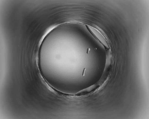 X0000086730812200704271629