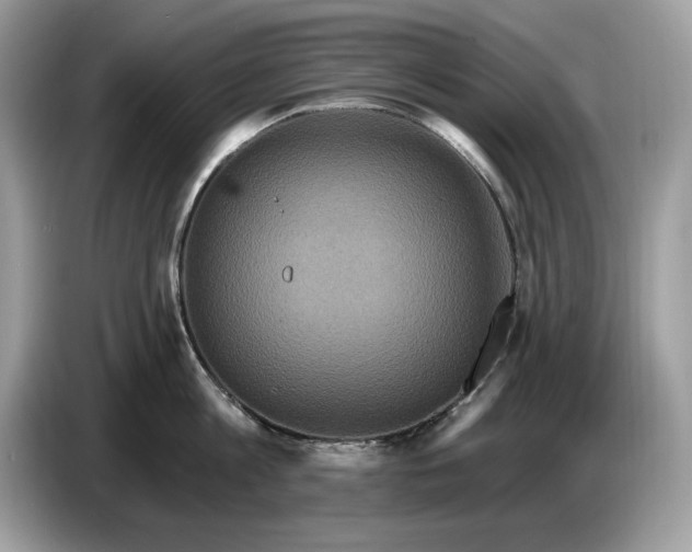 X0000086730813200704271629