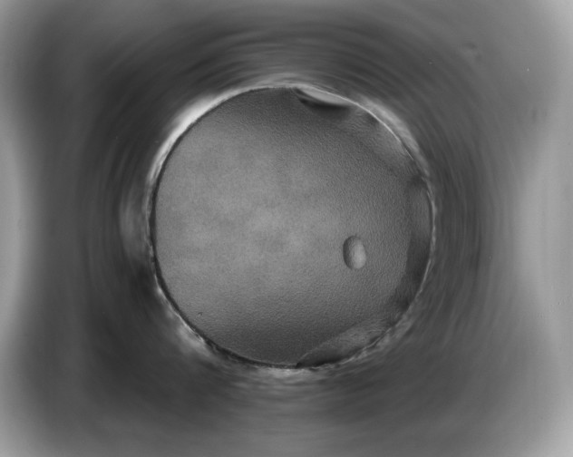 X0000086730816200704271629