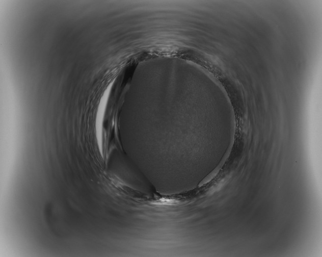 X0000086730818200704271628