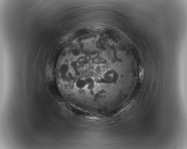 X0000086730819200704271628