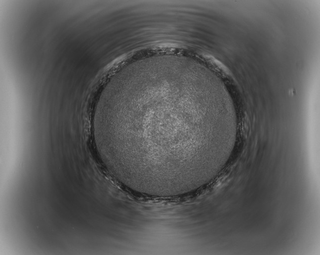 X0000086730821200704271628