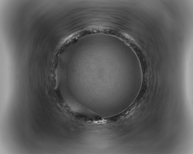 X0000086730822200704271629