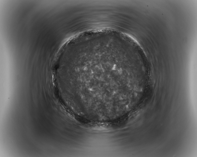 X0000086730823200704271629