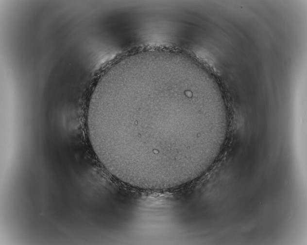 X0000086730824200704271629