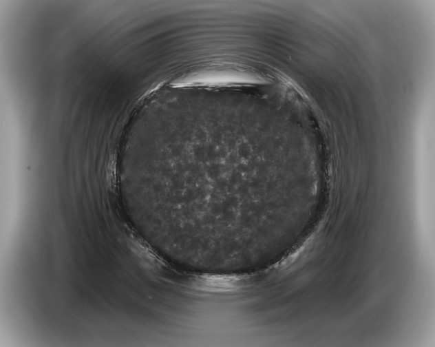 X0000086730825200704271629