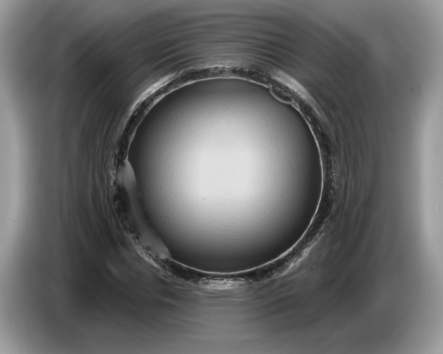 X0000086730826200704271629