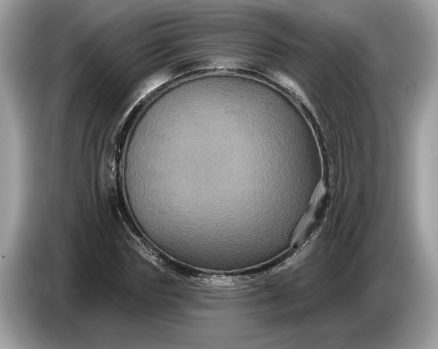 X0000086730827200704271629