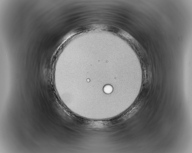 X0000086730828200704271629