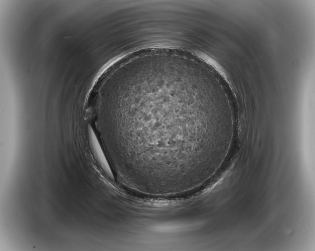 X0000086730829200704271629