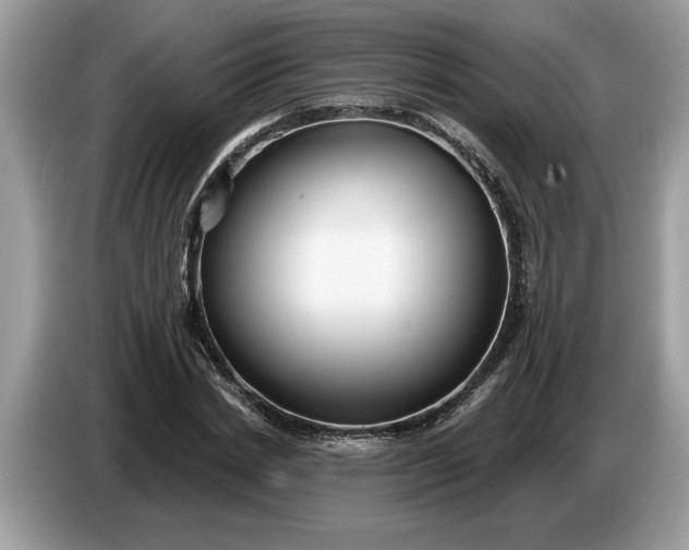 X0000086730830200704271629