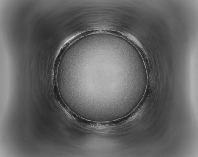 X0000086730831200704271629