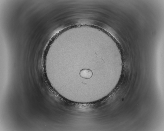 X0000086730832200704271629