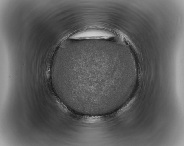 X0000086730833200704271629