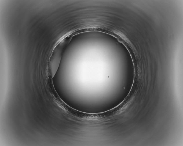 X0000086730834200704271629