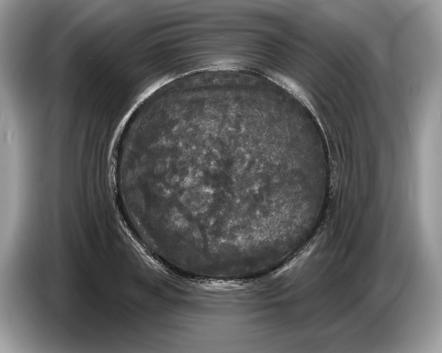 X0000086730835200704271629