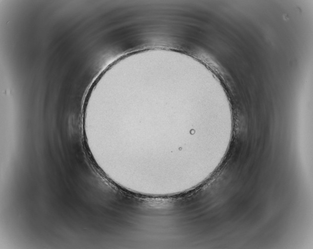 X0000086730836200704271629