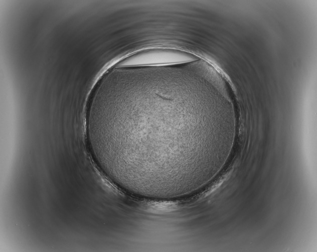 X0000086730837200704271629