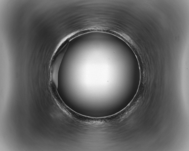 X0000086730838200704271629