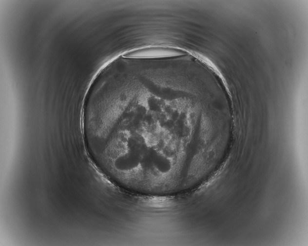 X0000086730839200704271629