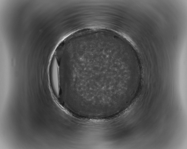 X0000086730840200704271629