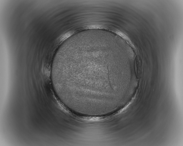 X0000086730841200704271629