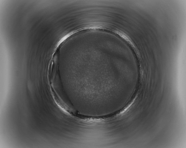 X0000086730842200704271629