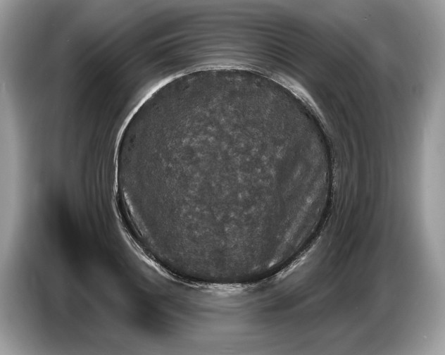 X0000086730844200704271629